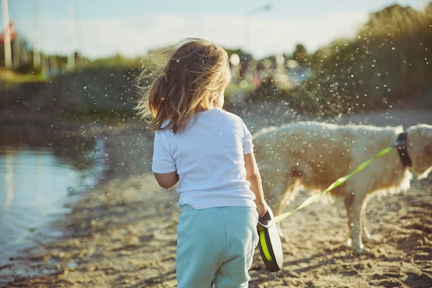 Pies Chlapiący Wodą Na Dziecko Po Kąpieli Na Plaży O Zachodzie Słońca