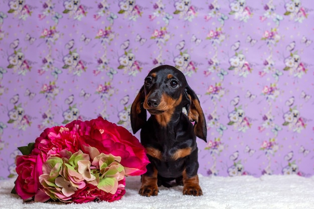 Zdjęcie pies, który siedzi obok bukietu kwiatów