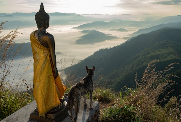 Zdjęcie pies stojącej budda spojrzeć na parę scenic górski wyłożone zastępców