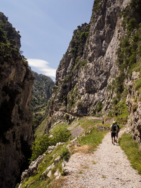 pieszych wędrówek wśród gór Asturii.