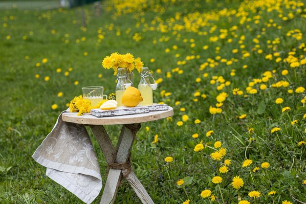Piknik na polu kwiatów mniszka lekarskiego z lemoniadą Letni eko piknik na stole z lnianym obrusem Pomysł na lato