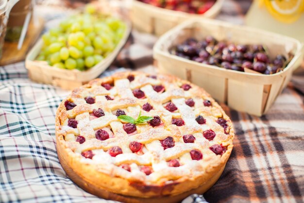 Piknik Na świeżym Powietrzu W Ogrodzie Do Pieczenia Ciasta Pyszne Zbliżenie