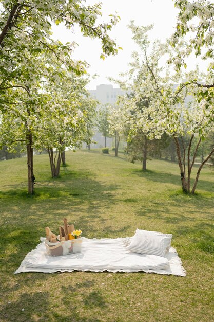 Piknik w parku pod kwitnącymi jabłkami wiosną