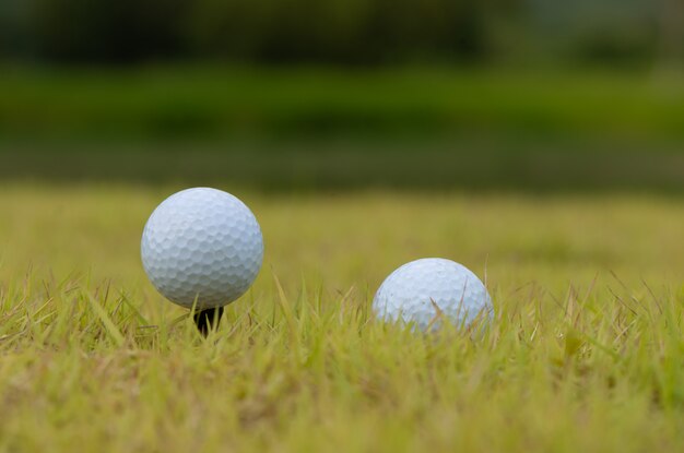 Piłka golfowa na tee zielone
