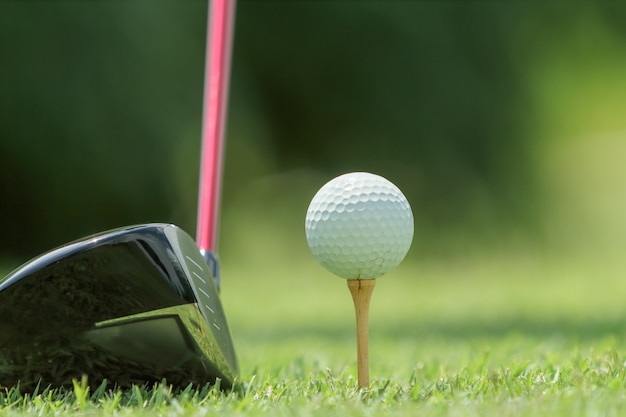 Piłka golfowa na tee