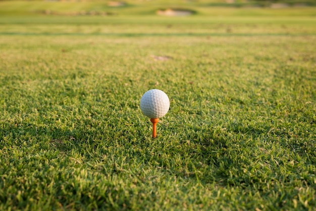 Piłka golfowa na trójniku przeciw polu golfowemu. Zamyka up przy piłką golfową i trójnikiem