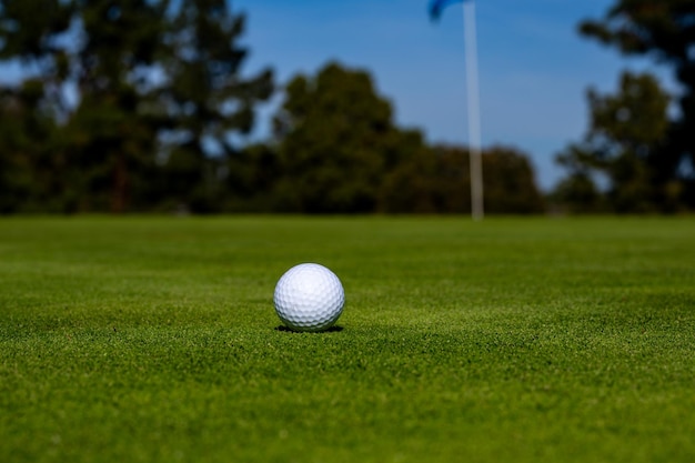 Piłka golfowa na zielonym polu golfowym Piłka golfowa na trawniku