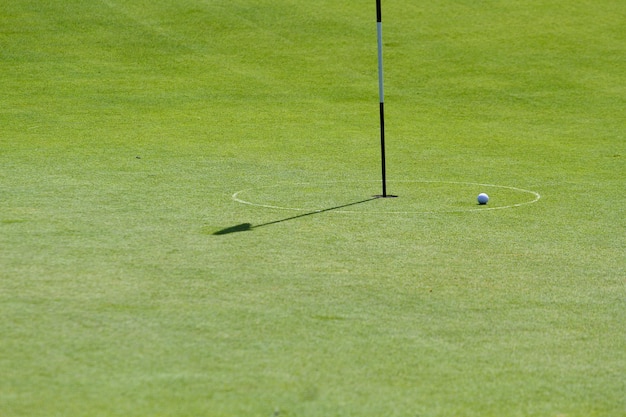 Piłka na polu golfowym w słoneczny dzień