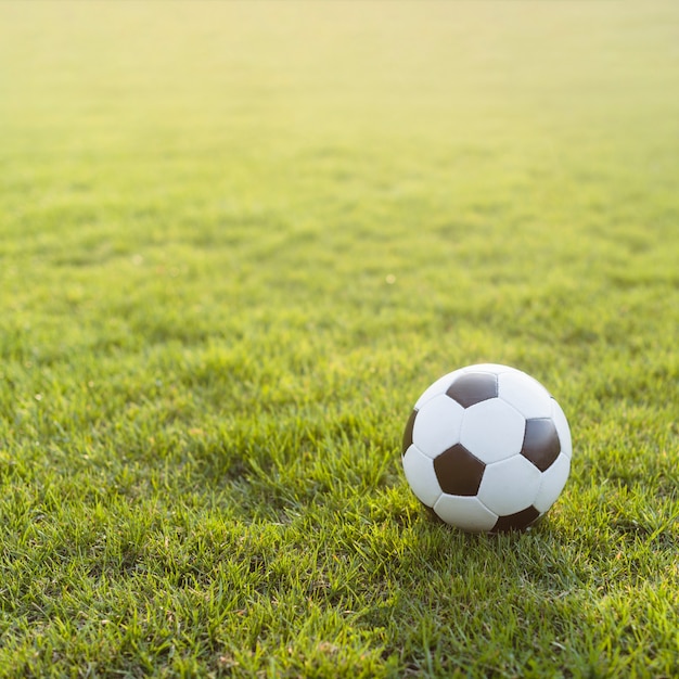 Piłki nożnej piłka na jaskrawej trawie