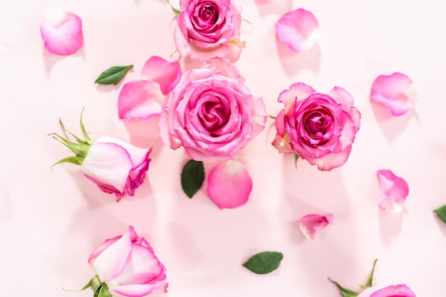 Pink Roses