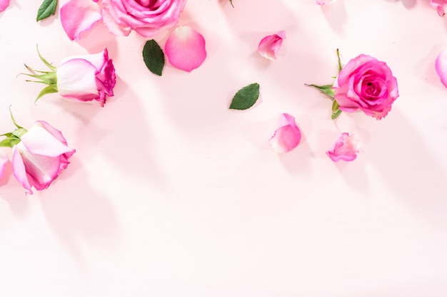 Pink Roses