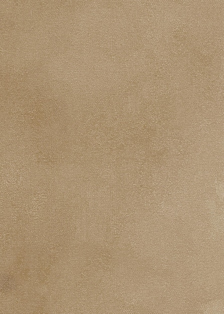Pionowe tło dla twoich prac graficznych i layoutu Vintage Retro i Grunge teksturowane