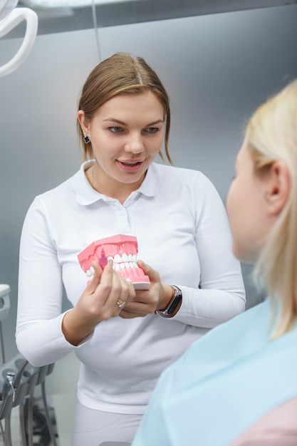 Pionowe ujęcie kobiety dentysty przedstawiające model dentystyczny do pacjenta