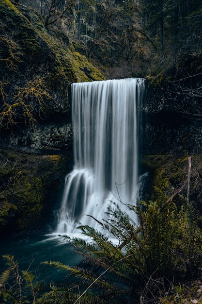 Pionowe ujęcie pięknego wodospadu w Silver Falls State Park Mehama, USA