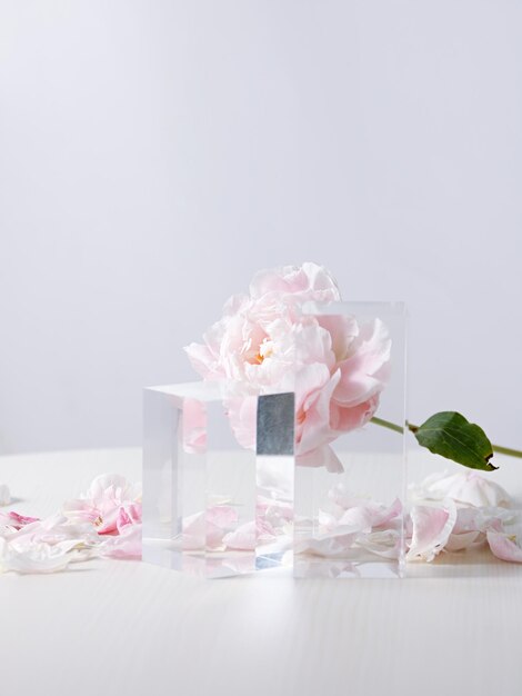 Pionowe ujęcie pięknych różowych kwiatów piwonii w szklanym wazonie na białym tle