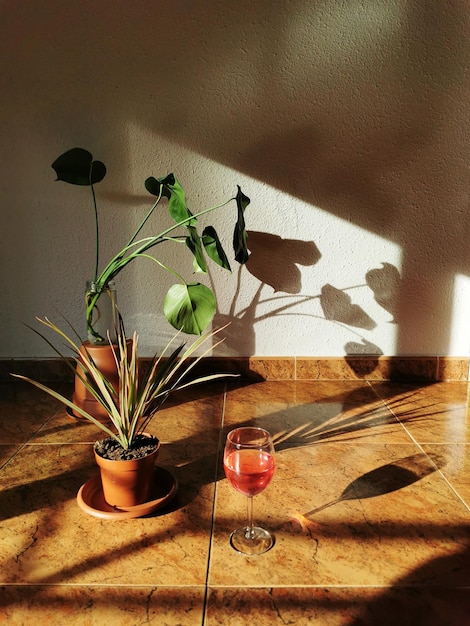 Pionowe ujęcie roślin domowych z kieliszkiem wina obok nich i światłem wpadającym przez okna