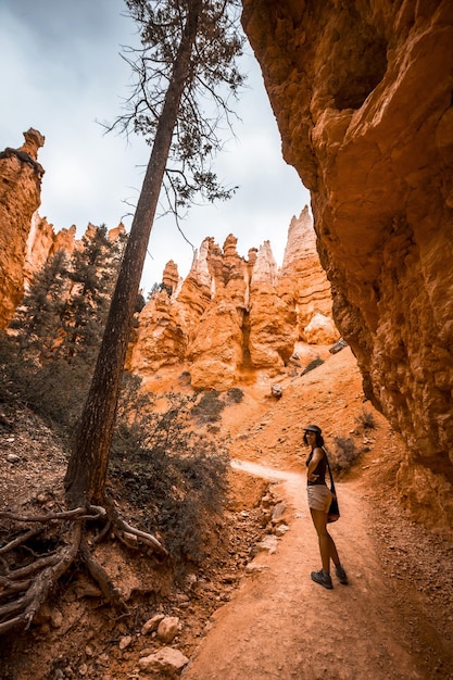 Pionowe ujęcie turystki spacerującej po Parku Narodowym Bryce Canyon w stanie Utah, USA