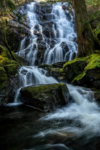 Pionowe ujęcie wodospadu Mary Vine Creek w Sooke Potholes Park, Kanada