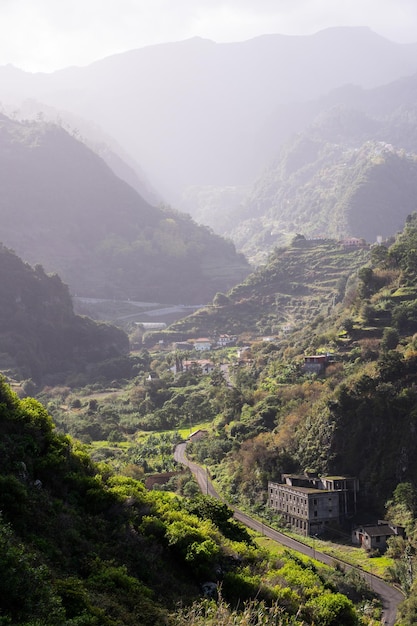 Pionowe zdjęcie drogi wśród gór z tropikalną roślinnością na Maderze, Portugalia