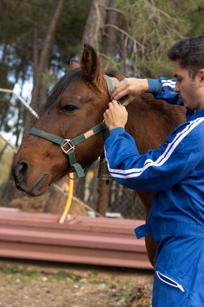 Pionowy portret młodego hodowcy płci męskiej zakładającego wodze na głowę klaczy lub konia (Equus ferus caballus)