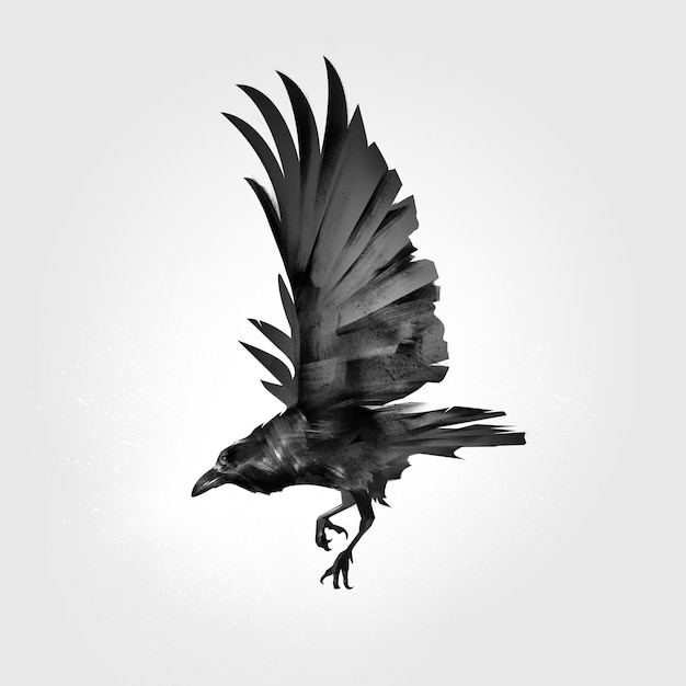 pionowy rysunek latający ptak kruk w trybie monochromatycznym