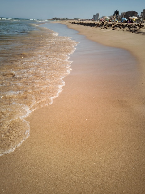 pionowy widok na plażę