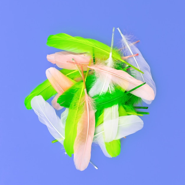 Piórkowy zestaw cukierków w minimalistycznej sztuce projektowania mody