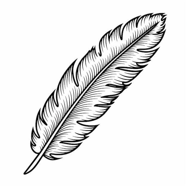 Pióro Desygnacja Ilustracja graficzna Artystyczna Kreatywna Elegantna Stylistyczna
