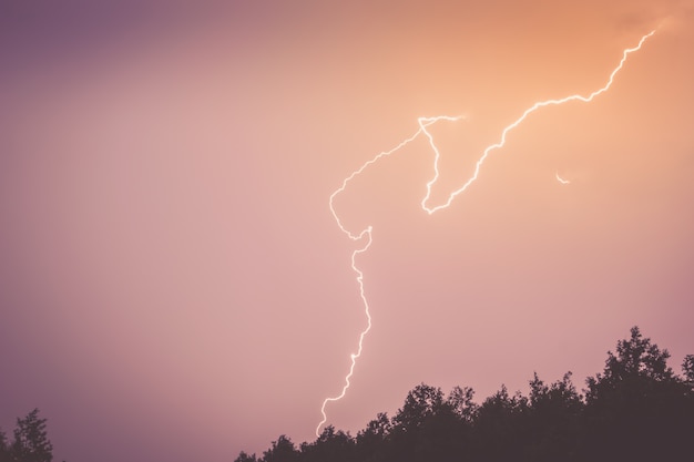 Zdjęcie piorun na niebie nad sylwetką lasu.