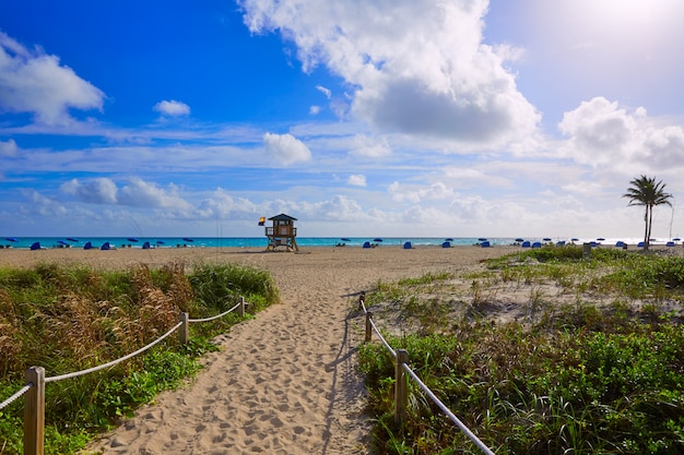 Piosenkarz Wyspy Plaża Przy Palm Beach Floryda Usa