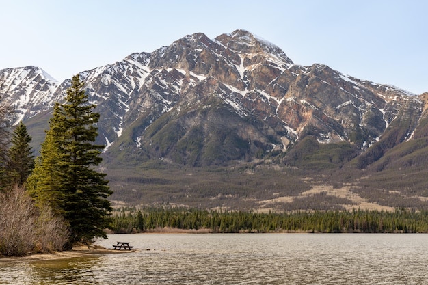 Piramida Jezioro Plaża Jasper Park Narodowy krajobraz Canadian Rockies natura sceneria tło
