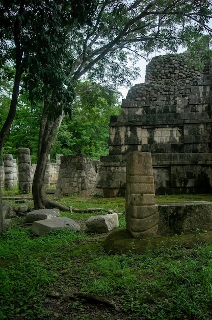 Piramidy Majów w meksykańskiej kamiennej konstrukcji otoczone roślinnością głęboka dżungla