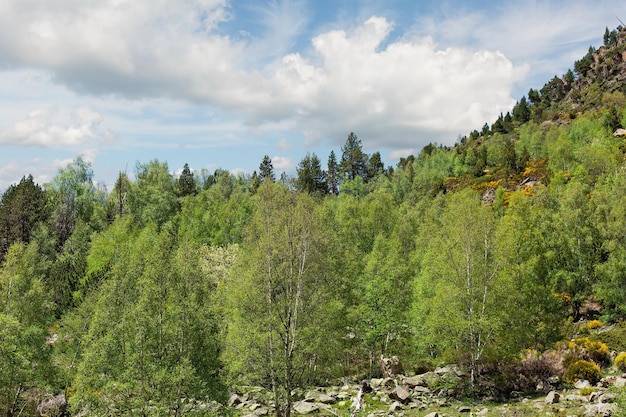 Pireneje i lasy, Hiszpania