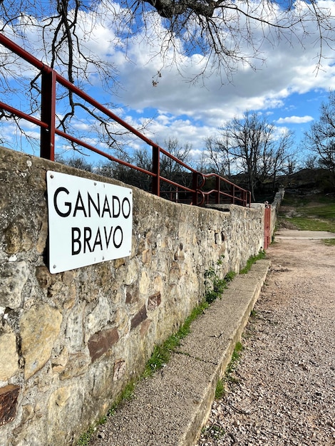 Plakat przedstawiający walkę bydła na kamiennej ścianie góry Valonsadero w soria fiestas de San Juan Soria