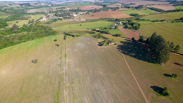 plantacja soi w Brazylii. Zielone pole z uprawą soi. Widok z lotu ptaka