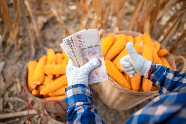 Plantatorzy kukurydzy trzymają tajlandzkie banknoty Pojęcie zysków z handlu