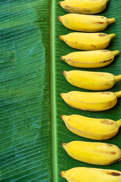 Płaski układ świeckich żółtych bananów na liściu zielonego banana