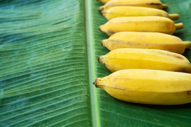 Płaski układ żółtych bananów na zielonym liściu bananowca. Żywność ekologiczna.