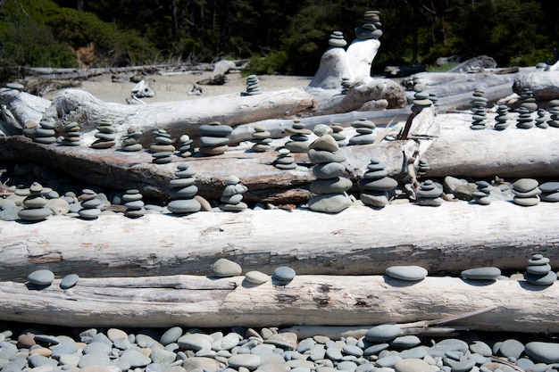 Płaskie kamienie w stosach na kłody drewna driftwood