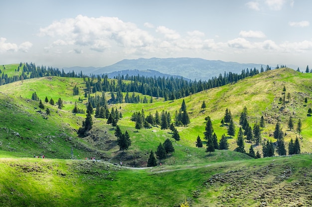 Płaskowyż pastwisk w Alpach, Słowenia. Chata górska, dom na zielonym wzgórzu. Alpejski krajobraz