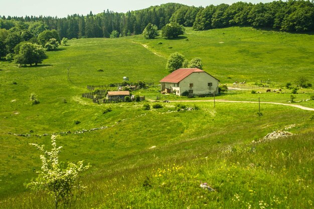 płaskowyż Retord w Ain we Francji