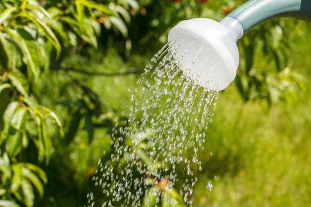 Plastikowa konewka z wodą lejącą się w ogrodzie.