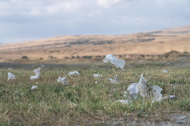 Plastikowe kubki i torby leżą na pożółkłej trawie łąki na wsi pod zachmurzonym niebem w lecie