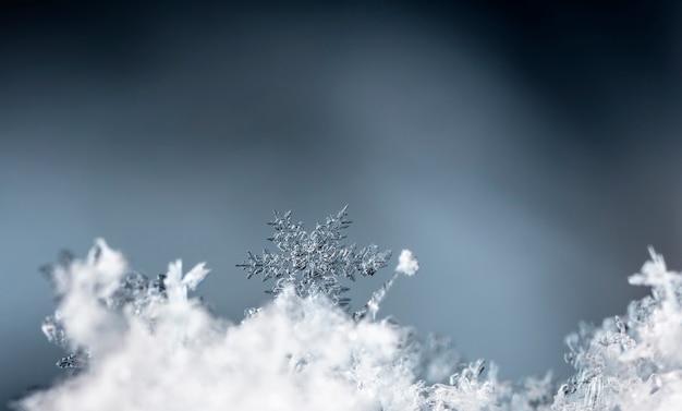 Płatek śniegu na naturalnej zaspie śnieżnej z bliska Boże Narodzenie i zima w tle