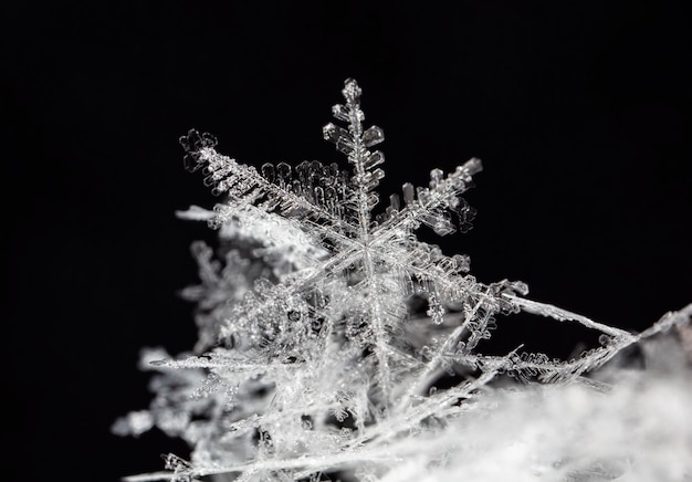 Płatek śniegu na naturalnej zaspie z bliska Boże Narodzenie i zima w tle