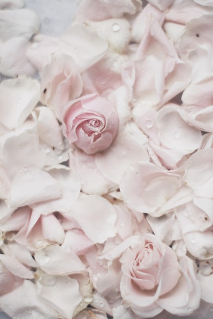 Płatki kwiatów róży na marmurowym weselu i koncepcji w stylu ogrodu kwiatowego