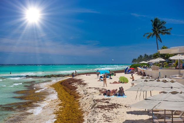 PLAYA DEL CARMEN MEKSYK KWIECIEŃ 2022 Pani w seksownym bikini typu stringi opalająca się na piaszczystej plaży z wodorostami w Playa del Carmen Yukatan Meksyk