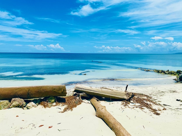 Playa isla palma Kolumbia