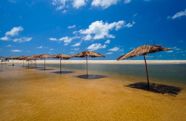 Plaża Bela Conde w pobliżu Joao Pessoa Paraiba Północno-wschodnie wybrzeże Brazylii