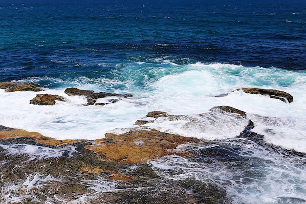 Zdjęcie plaża bondi, australia